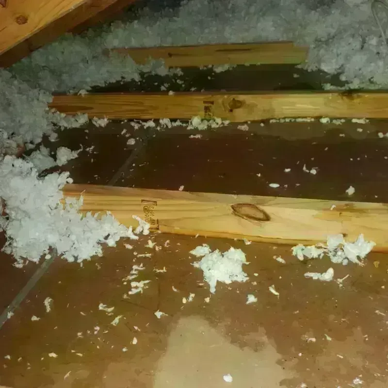 Attic Water Damage in Fort Knox, KY